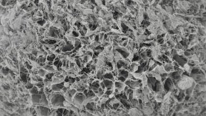 About Freeze Granulation